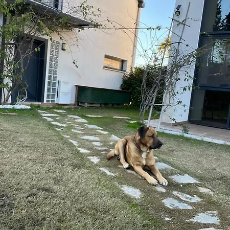 Serene 3-bedroom In Kyceiz, Turkey Köyceğiz